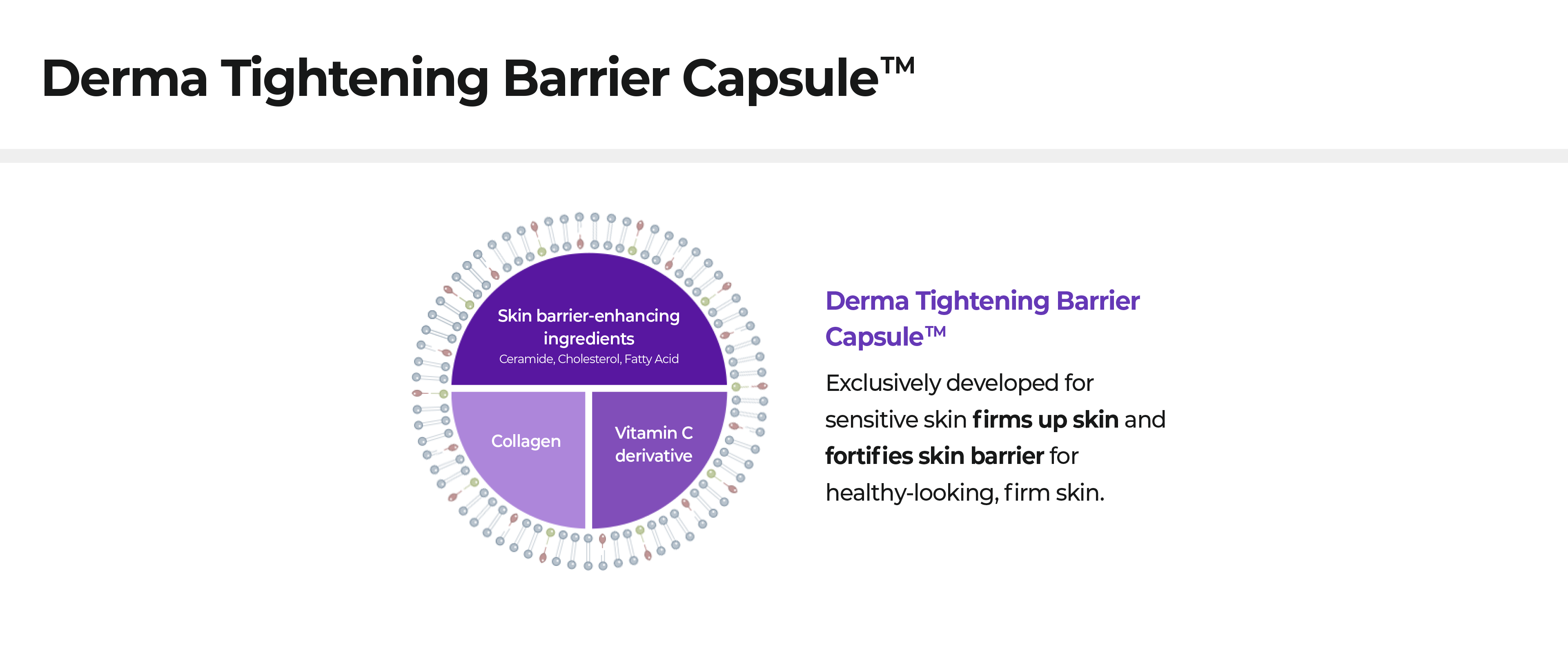 derna tightening barrier capsule™, skin barrier-enhancing ingredients/collagen/vitaminC derivative