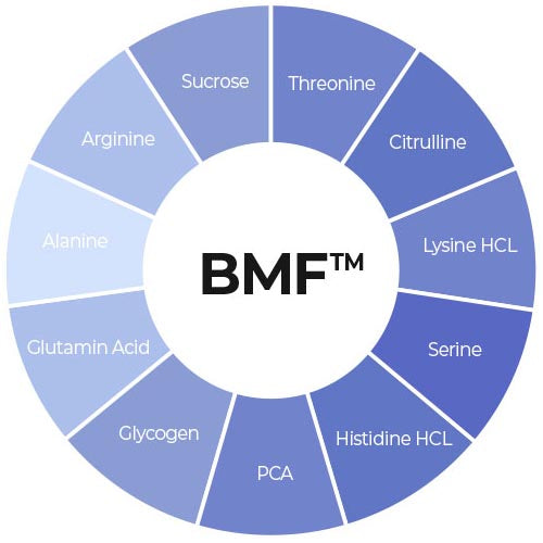 BFM™ - Sucrose, Thereonine, Citrulline, Lysine HCL, Serine, Histidine HCL, PLCA, Glycogen, Glutamin Acid, Alanine, Arginine